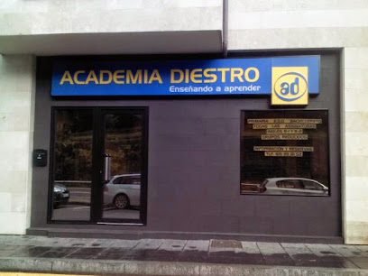 Foto de ACADEMIA DIESTRO