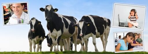 Foto de Academia de Holandés