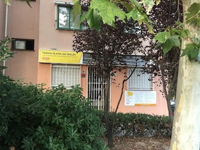 Foto de Academia de inglés Your Language Club