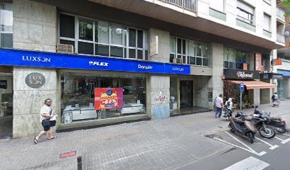 Foto de Alf Language Center