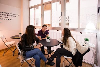 Foto de Alma Máter Ávila