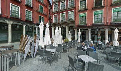 Foto de International Immersion Institute