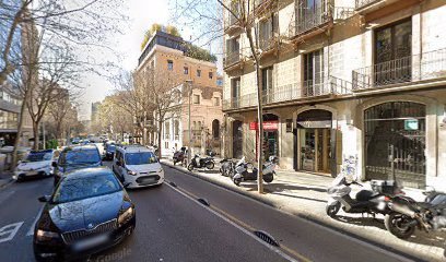 Foto de Lingua International Network S L