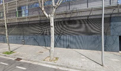 Foto de Yolk Academy