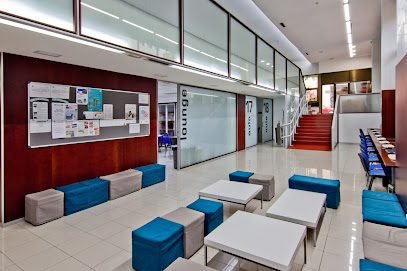 Foto de AIP Language Institute