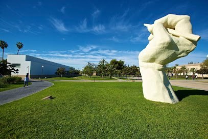 Foto de Centro Superior de Idiomas de la Universidad de Alicante