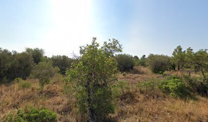 Foto de De Taalcaravan