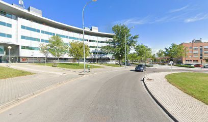 Foto de Italiano con Gianna | Clases y Cursos de Italiano Tres Cantos