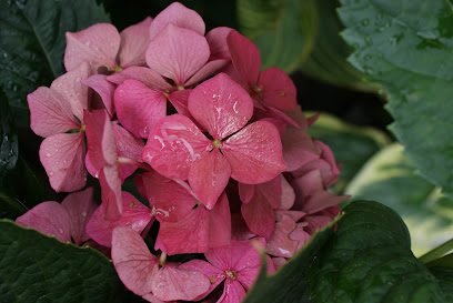 Foto de Love English Team Building