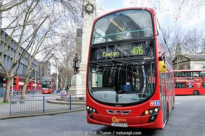 Foto de Nipper Language School