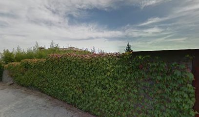 Foto de Step up to English